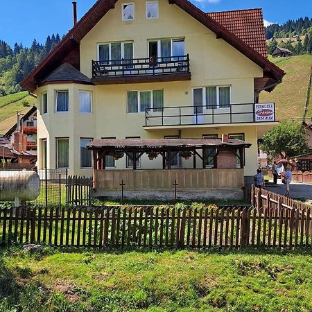 Pensiunea Sorina Casa Alba Моєчу-де-Сус Екстер'єр фото